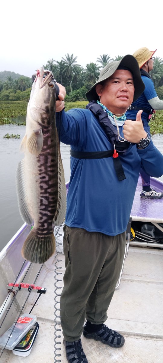 1qzFynq0brxzMfI's tweet photo. 9月27日
クラウ
活性高く4匹
Huge buzz bait type2で3匹、type3で1匹。
type3は一発でブレード回らなくなった笑
#Toman #Hugebuzzbaittype2 https://t.co/iXEBMfxljx