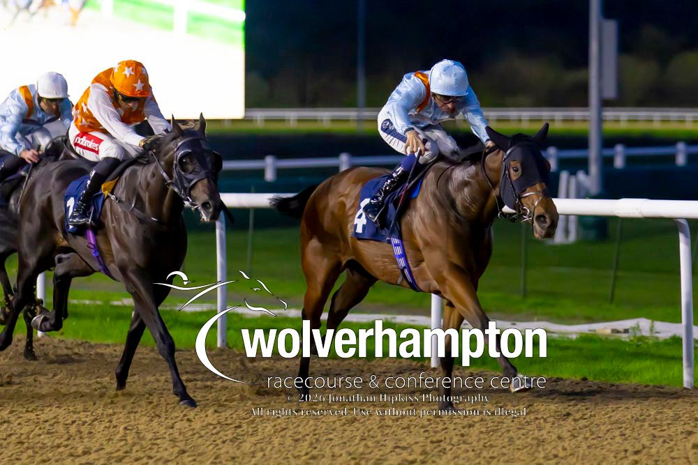 WolvesRaces's tweet photo. 29.09.26    Race 6 - The Race &amp; Rest- Wolverhampton Holiday Inn

Winner-  Go Lockers Go
Trainer - Michael Bell
Jockey -Hector Crouch
Owner - Middleham Park Racing D Turner B Roberts

All images taken by - Jonathan Hipkiss https://t.co/mUjQOa9jHk