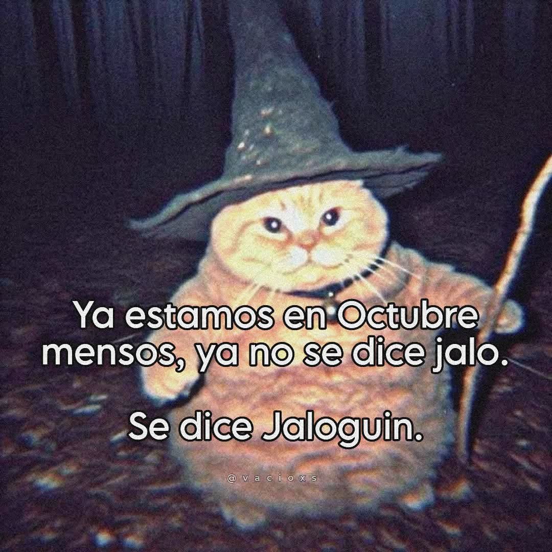 Briagowsky's tweet photo. Buenas https://t.co/H5fD9BBup4