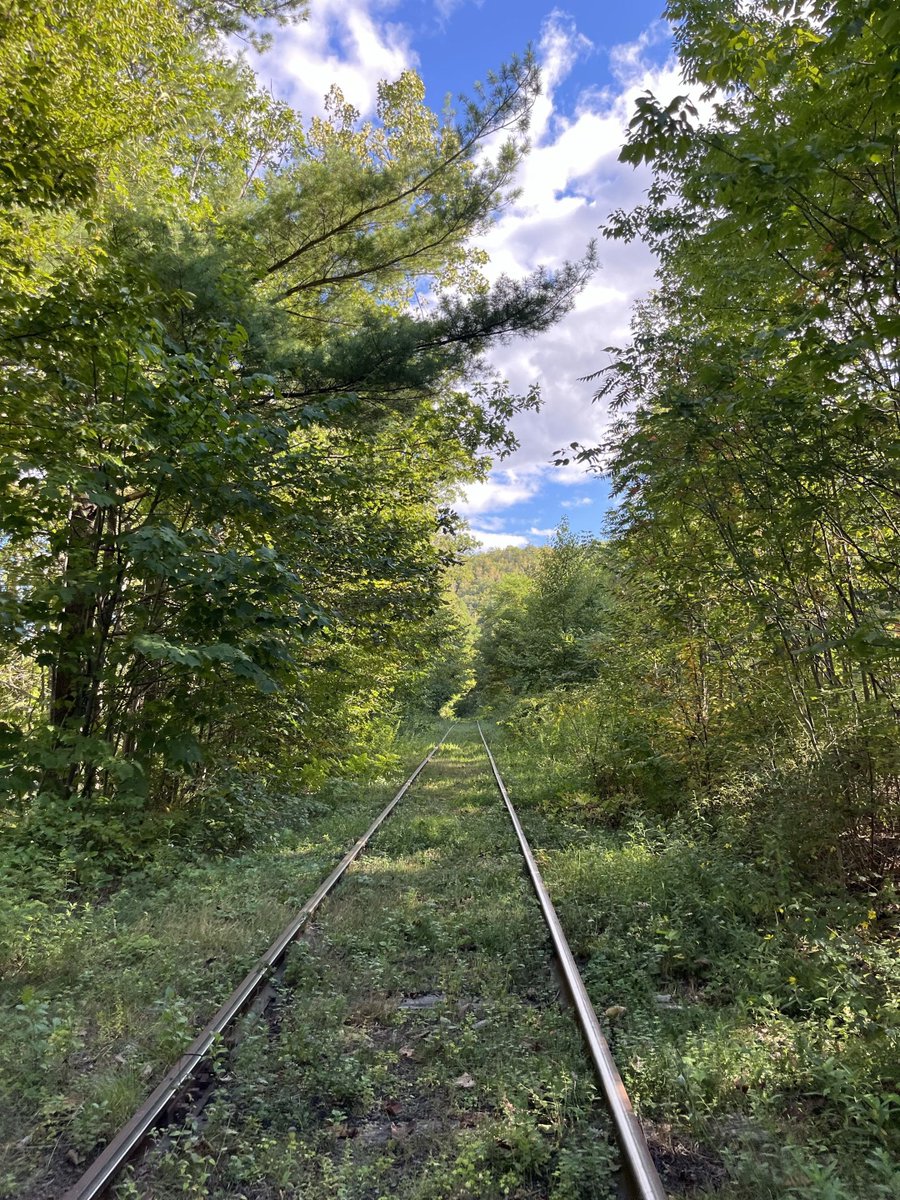 Vermonteach's tweet photo. https://t.co/WP1CXnjZdv