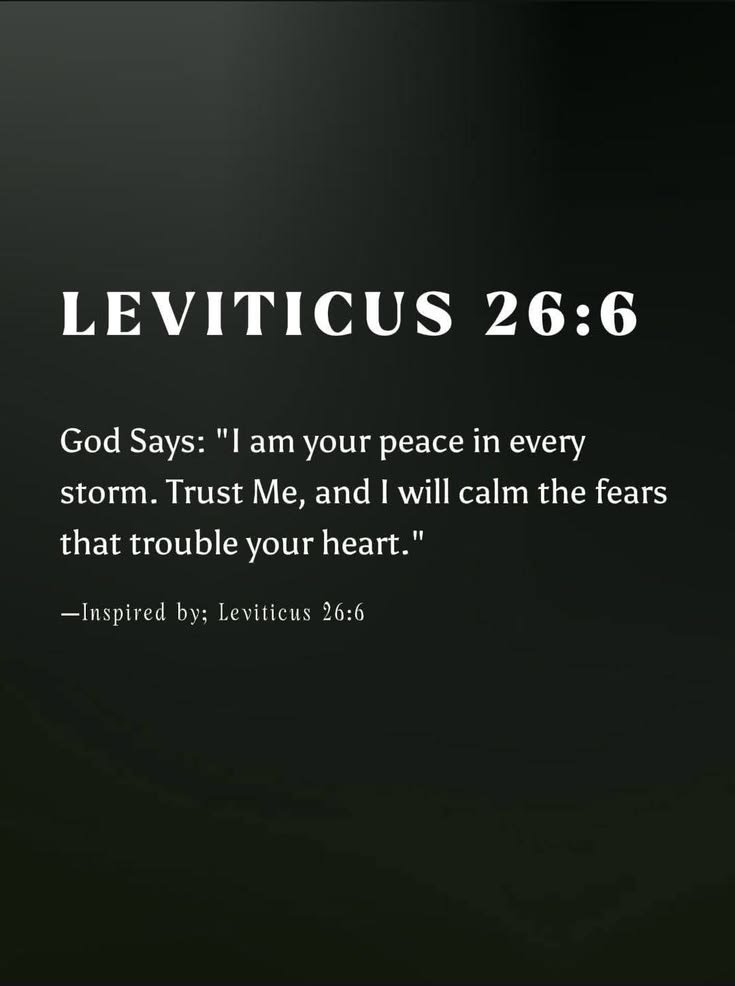 christ_the_son's tweet photo. Leviticus 26:6 https://t.co/YpW0XiKEkH