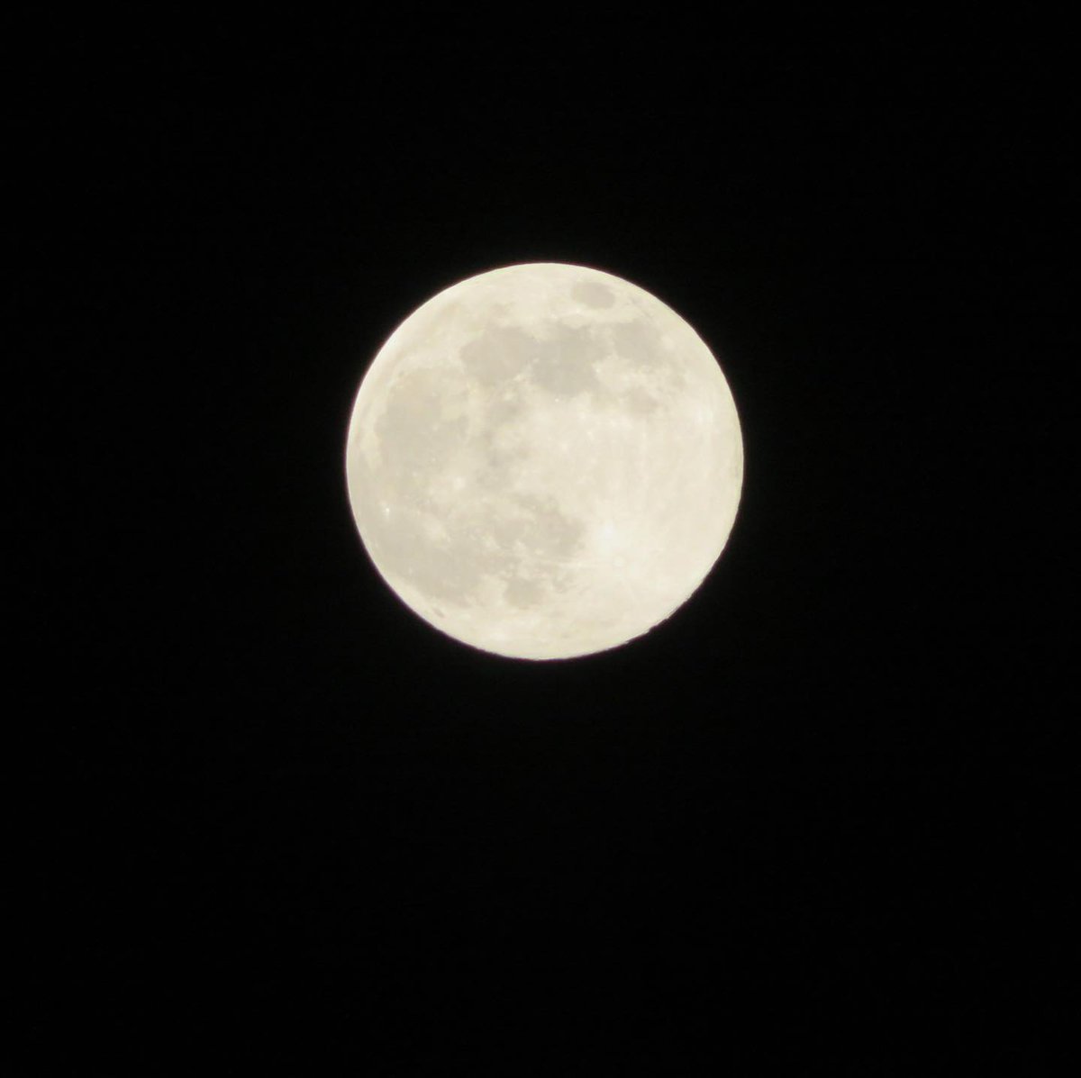Alvan22's tweet photo. #supermond #goodnight #moon #supermoon🌕 #supermoon #moonlight #haveagoodnight #sleepwell #wolves🐺 #wolves #shine #shining https://t.co/nNLVCJItJ7