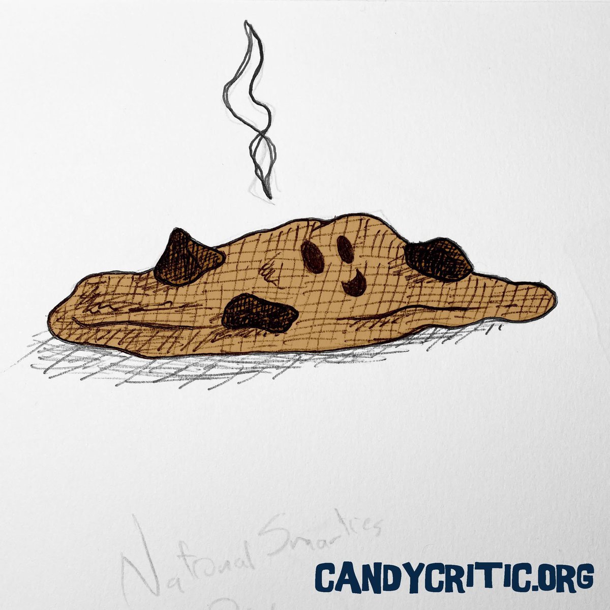 Candycritic's tweet photo. It's #NationalHomemadeCookiesDay!
#homemadecookies https://t.co/oKYWMXih7K