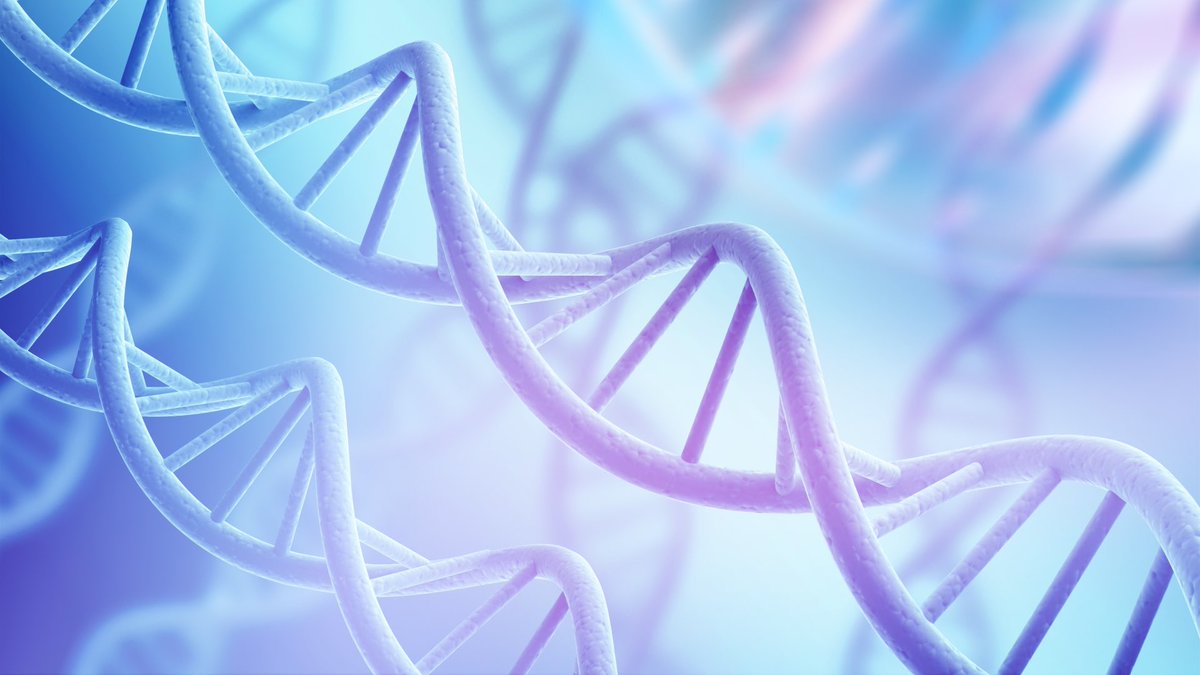 Ilmiodiabete's tweet photo. #Genetica #MalattieAutoimmuni #RicercaScientifica #MedicinaDiPrecisione https://t.co/JiOycqcP17 https://t.co/VfPbdjtcPD