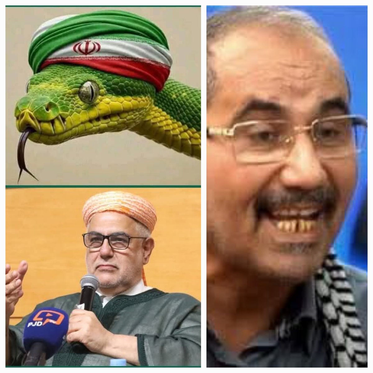 el_mjadi's tweet photo. @drisssenhaji2 الكوفيين المرتزقة عبيد الشرويط سرطااااااان 
يجب استئصاله من الجذور عاجلا قبل آجل فهم : 
- أعداء الله 
-أعداء الأمة 
- أعداء الوطن 
- أعداء الشعب المغربي 
-أعداء الملكية 
- و أعداء أنفسهم....و لعنة الله عليهم . https://t.co/tJk0myjdgo