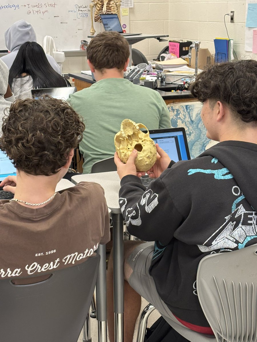 LCHS1954's tweet photo. Celebrating Dr. Markle and her strong modeling of higher-level thinking! As students work through their skull analysis lab, she is creating opportunities for them to observe, analyze evidence, ask questions, and apply their understanding to draw conclusions. @LCPSOfficial https://t.co/X8v8eNvzTX
