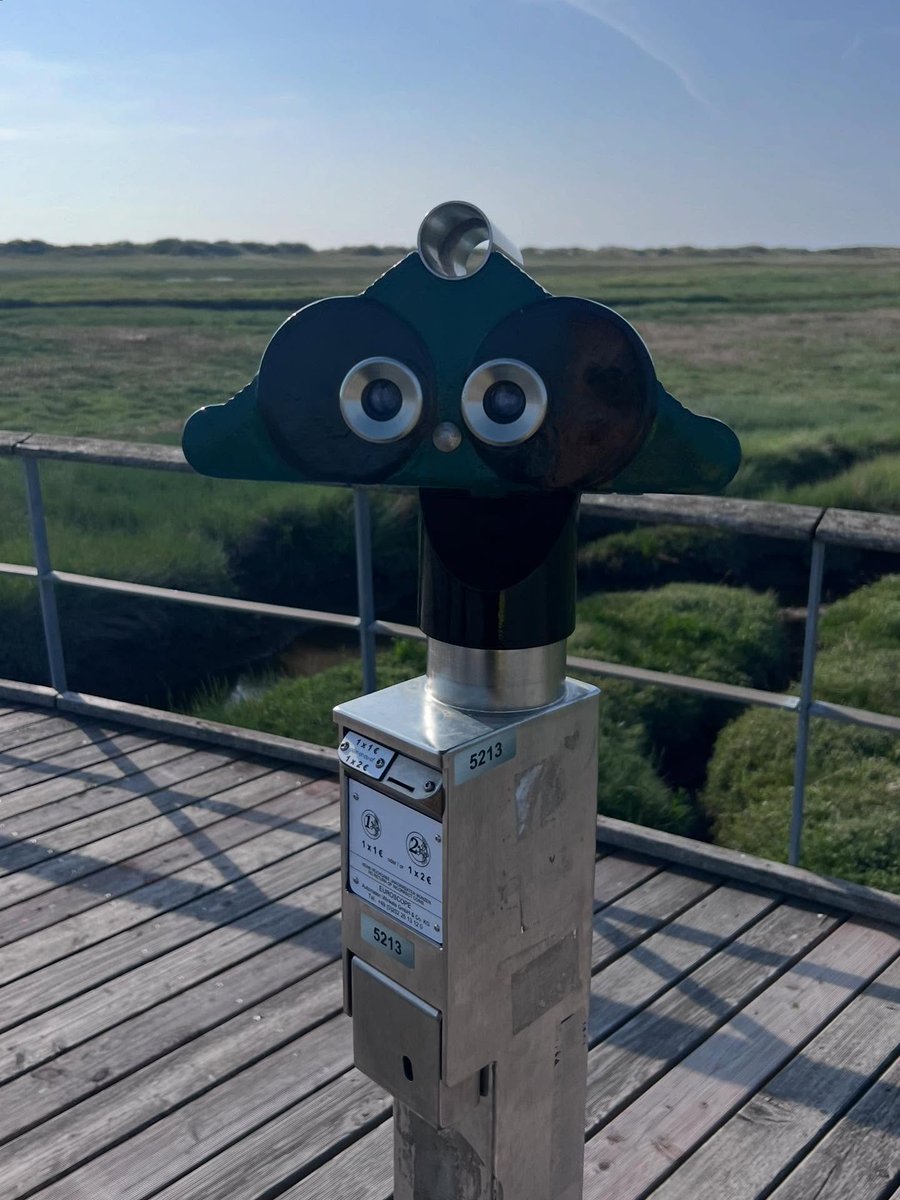 estherlagos39's tweet photo. ☀️🌊🐚🐟#StPeterOrding #NorthSeaViews #CoastalVibes #FaceInPlaces #HiddenFaces #BinocularView #LookCloser #TravelGermany #SeasidePerspective #VisualPoetry #BeachAndWind #WanderlustEurope #InstaTravel #binoculars #pareidolia #gesehenundandichgedacht https://t.co/uIROY9DvGm