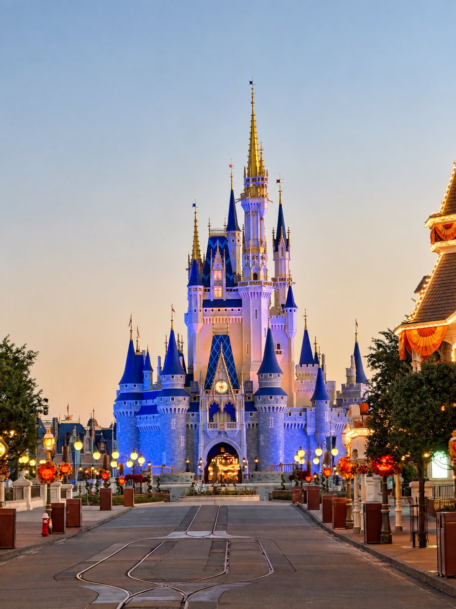 renamorado95's tweet photo. @WaltDisneyWorld Been going since 1995 ( I was 2) and still going strong. Was just there this weekend and the castle looks beautiful! https://t.co/Gr6xJh0yNi