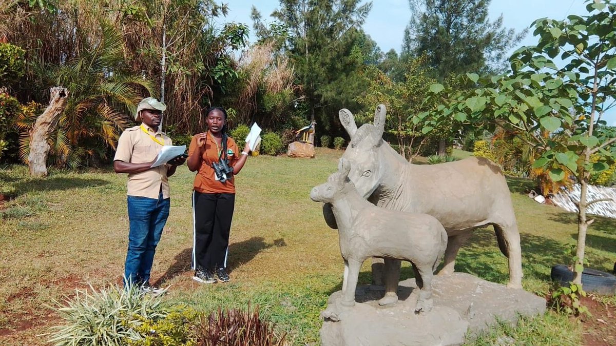 RwenzoriAcademy's tweet photo. #TourGuidingCourse Trainees demonstrate guiding techniques, communication skills, interpretation, destination knowledge, and professional conduct.#Assessementday #RwenzoritoirismAcademy #traininginstitute https://t.co/S2Uq6el36A