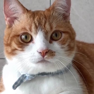 Juuungy's tweet photo. #NewProfilePic https://t.co/CGy3SDWltq