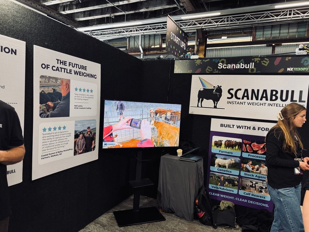 bearliu's tweet photo. 新西兰人做 AI 有一点我特别佩服：特别实在。

上周去 NZ Tech Expo，最好玩的一家初创团队是用 AI 给牛称重的，产品名字就叫 Scan a Bull。扫一下就能估出重量，误差大概两三公斤，农场主觉得完全够用。后来翻参展商名录，发现他们 CEO 就姓 Bull。

有人说：“为什么不用磅秤呢？称得更准。”

真实情况是，你养牛就知道了。你把牛赶到磅秤那里，一只牛还可以牵着走，但如果是 20 头牛、50 头牛呢？

随时用一个拍照 App 来监控体重，省时间，还能随时知道自己的资产。

能解决实际问题的 AI 才是好 AI。

推上天天在吵哪个模型最强，这边有人在认真研究一头牛到底有多重。