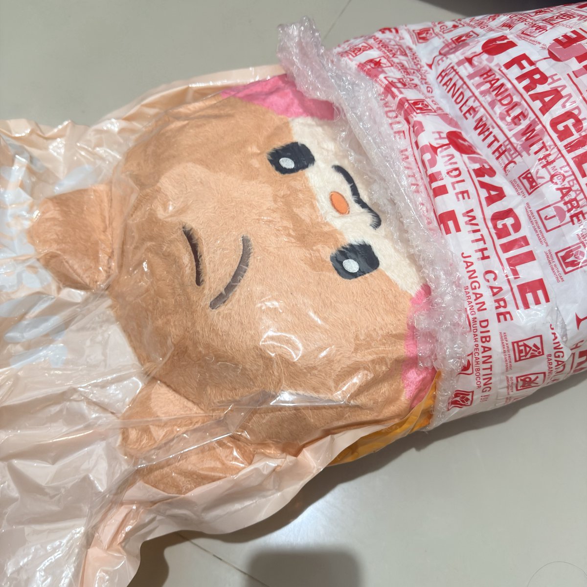 haotieful's tweet photo. just pulled her out from the vacuum mail and she's already jumped to her gf like that PLEASE CALM DOWN BINI😧 https://t.co/WJtbKhgObP