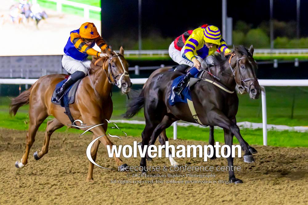 WolvesRaces's tweet photo. 29.09.26    Race 8 - The Sky Sports Racing Sky 415

Winner-  Kev
Trainer - William Muir &amp; Chris Grassick
Jockey -Hector Crouch
Owner - North Farm Syndicate

All images taken by - Jonathan Hipkiss https://t.co/VnLHHQfccj