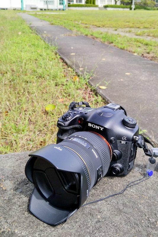 zagato__zero1's tweet photo. シルバーウィークに #山梨 で撮影してきたもの、その2。
#SONY #α99 今となっては中途半端なTLM機ではあるが、使い勝手は悪くない。
SONY #Aマウント レンズがそのまま使えるし、バッテリーグリップを付けるとバッテリーが3個装着可能なのは、他にはないはず。
重くなるので、あまり使わないけど⋯😅 https://t.co/l01yxcPcyg