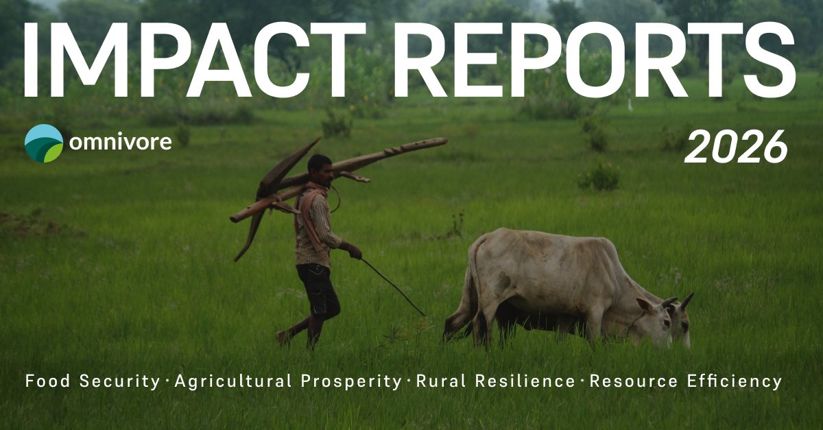 omnivore_vc's tweet photo. We’re pleased to share Omnivore’s 2026 Impact Reports.

Agrifood businesses sit at the intersection of some of India’s biggest economic, social and environmental challenges. Across our portfolio, the reports help us understand where companies are creating meaningful outcomes against our Theory of Change, where progress is strongest, and where there is still more work to do.

We also remain committed to ensuring that India’s agrifood ecosystem is represented in the global impact conversation. Our reporting draws on the IMP Five Dimensions and IRIS+ metrics, a robust IMM that is aligned with the Operating Principles for Impact Management and independently verified by BlueMark, and our ESG approach, guided by the IFC Performance Standards.

The frameworks give us a common global language for impact while keeping the realities of Indian agriculture and food systems at the centre of how we measure it.