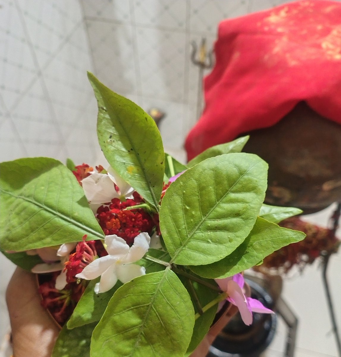 sunil112255's tweet photo. आपको कही नहीं भटकना बस भक्ति का रास्ता चुन लो
मन में जो सुकून है ना वो शायद ईश्वर शरण से ज्यादा कही नहीं है 

महादेव की कृपा आप सब पर बनी रहे https://t.co/Ni68kXajUo
