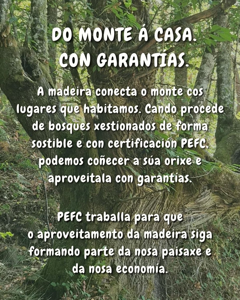GaliciaPefc's tweet photo. Do monte á casa. Da árbore ao hórreo. Unha mesma historia. 💚

Proxecto impulsado pola @Xunta de Galicia dentro do programa #OTeuXacobeo.

@camino_xacobeo #Xacobeo2027 #PEFCnoCamiño #PEFCGalicia #AFonsagrada #CamiñoPrimitivo @PEFC @PEFCSpain https://t.co/ewX1gdwZ9A
