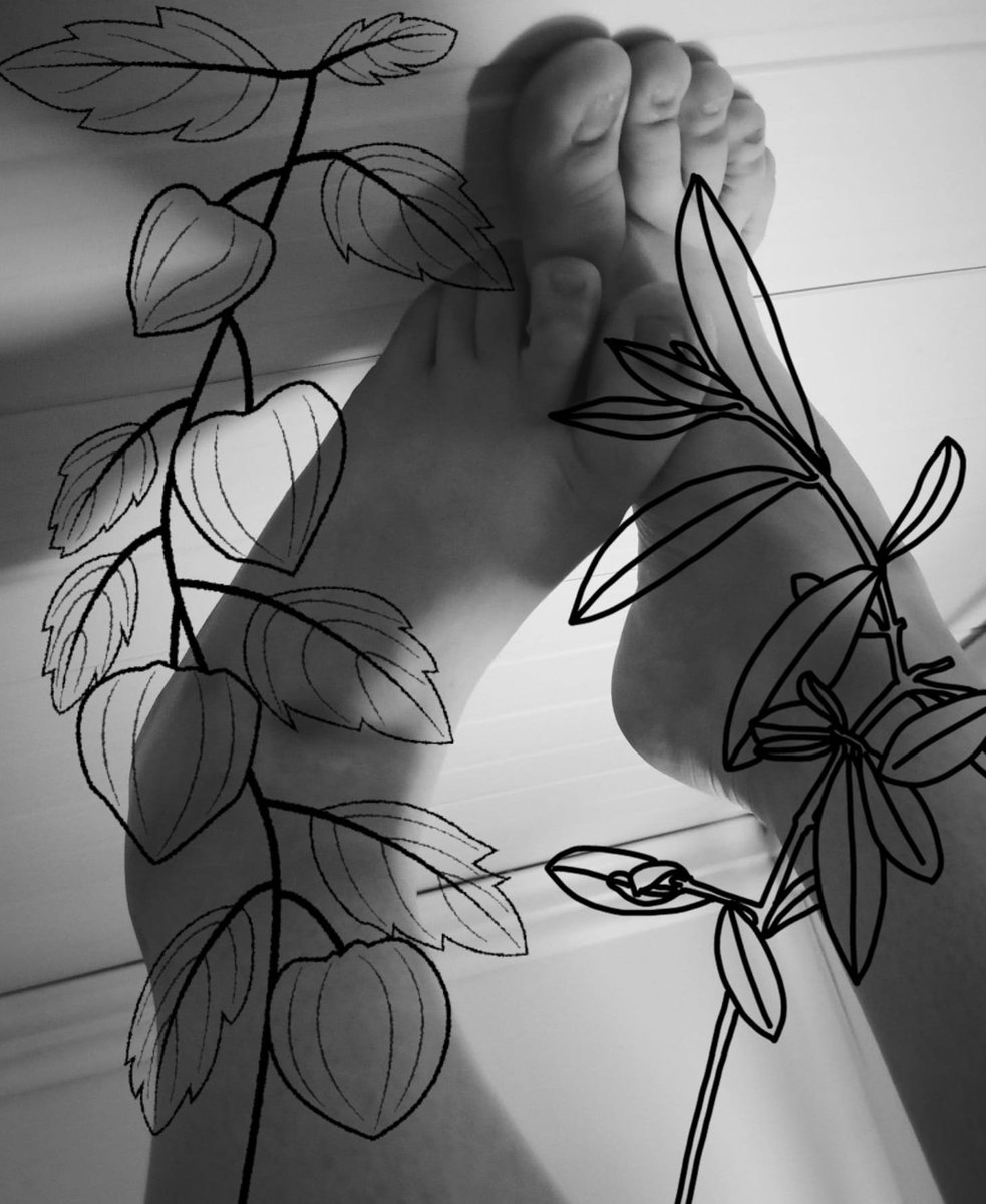 CandVFootSeller's tweet photo. Rise and shine my sweeties! 🌸
A little morning view before a long day (21 yo life 😴). 
Slowly losing my shyness one post at a time…🙈☺️ 

💬 Send me a DM for the original version + 1 extra picture! 👣 I know you all want it! https://t.co/gIITbhLkXo