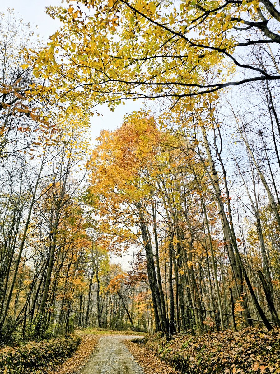 camera_bird's tweet photo. Welcome October.. https://t.co/CDhW1CkzYF