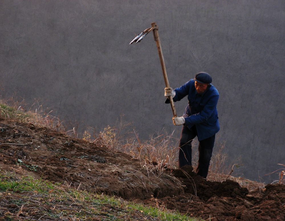 byte_alan98_b0d's tweet photo. A guy with a hoe is working hard on the poor and shallow land to farm. https://t.co/Vx7sYJQs10