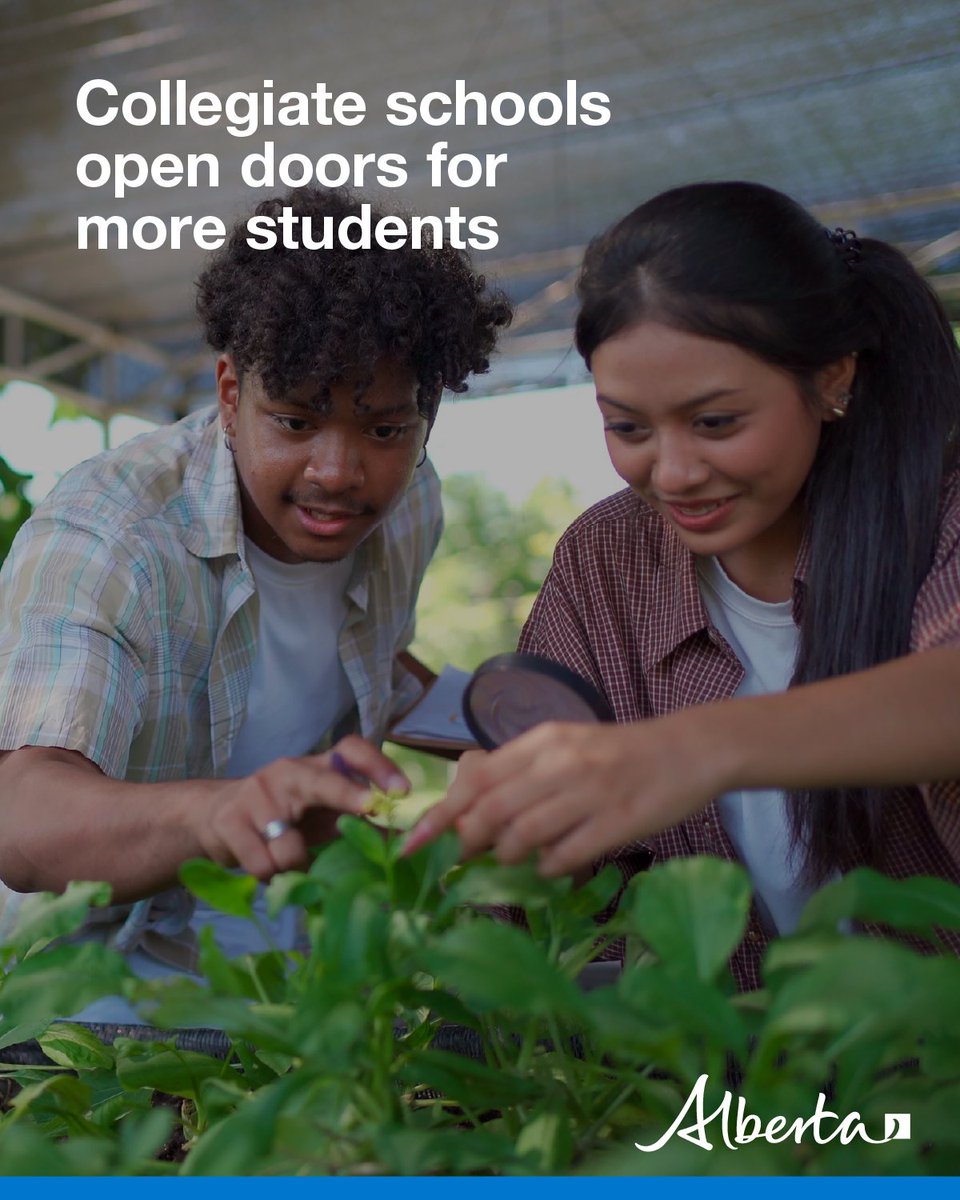 AlbertaEd's tweet photo. Students heading back to school this fall have more opportunities than ever to explore career pathways and develop in-demand skills. With 4 new collegiates and 14 expanded pathways opening this year, Alberta is helping students prepare for success.
https://t.co/YA8x8llT3y https://t.co/JgpLCxyXiS