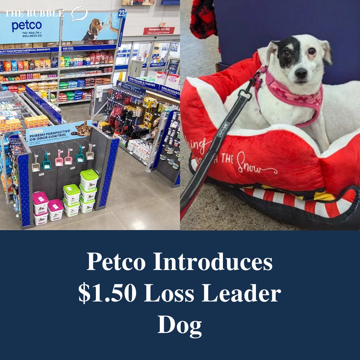 readthebubble's tweet photo. Petco Introduces $1.50 Loss Leader Dog https://t.co/rjfaCFrQbd