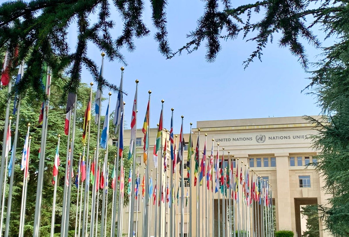 NorwayInGeneva's tweet photo. At #HRC63, #NB8 express deep concern over persistent violence in the Central African Republic, and particularly grave human rights violations against children. We call on CAR to hold perpetrators accountable and ensure reintegration.

Full statement: https://t.co/O4D82c32BU https://t.co/2D2zVSCPfV