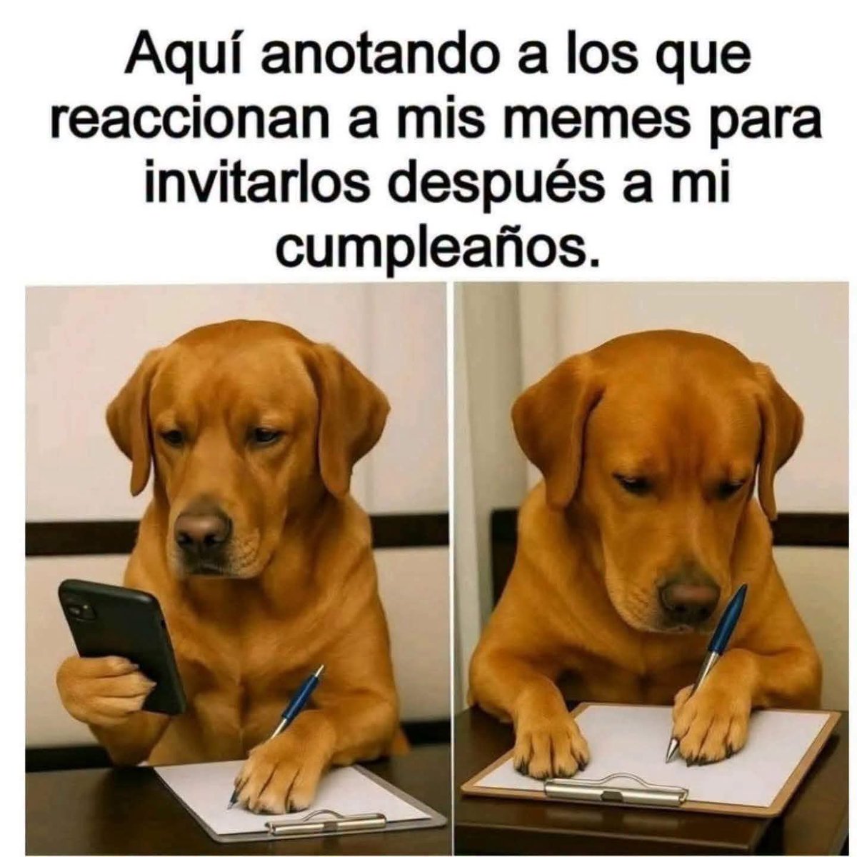 manuelbobrador1's tweet photo. Buenos días mi gente hermosa 🥰🙏 falta poco diciembre 😁 https://t.co/NiFB3sZ5gj