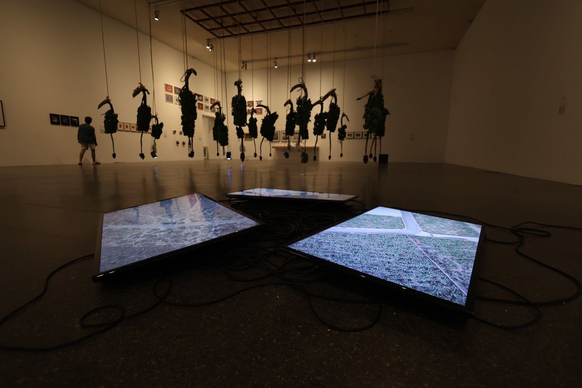 teatenerife's tweet photo. 💥 El museo #TeaTenerife inaugura 'Mientras seamos salvajes', exposición con obra de más de ochenta creadores. La inauguración, de entrada libre, tendrá lugar el sábado 3, a las 12h, con las performances de Javier Estupiñán y Oumaima Manchit Laroussi.

https://t.co/w5sVVqn1pk https://t.co/MDY58XV9wm