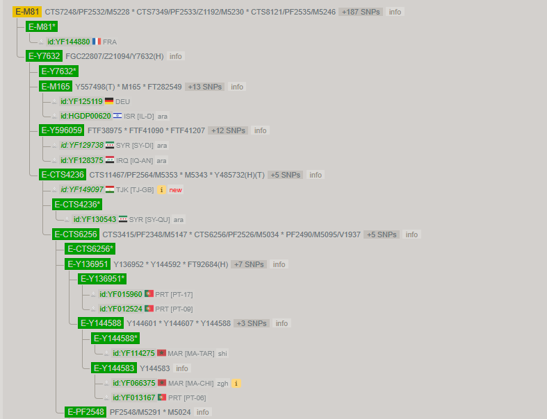 banashir77's tweet photo. A basal E-M81 in Tajikistan is already crazy, but the fact that it’s found among Pamiris of all people, rather than Tajik Arabs, makes it even crazier. https://t.co/Orp0gcpEoG