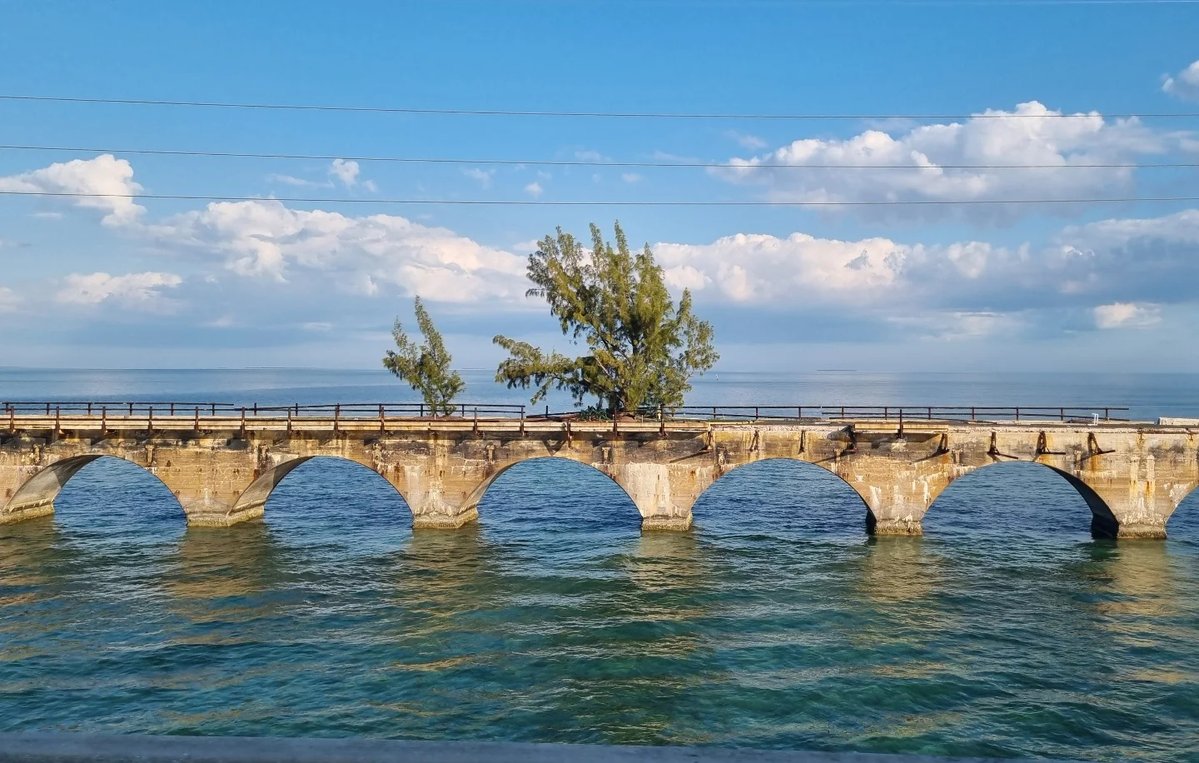 st_ubb's tweet photo. Fred the Tree. The famous tree stands on the old 7-mile bridge, the only tree that ever stood there. No one knows how it got there; there are different stories about it. But he's famous! ! #florida #thekeys #travelusa #travelinspiration #wanderlust https://t.co/SVkWxl2N1u
