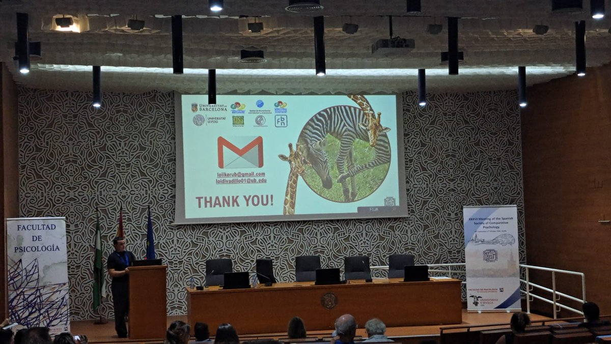 sepc2026's tweet photo. 🌅 We’re starting the afternoon with Session 5: Comparative Cognition and Problem Solving!

Today’s session features Iker Loidi, Judit Lafuente and Concepción Paredes-Olay 🧠🔬
#SEPC2026 https://t.co/ASfmH6BOl9