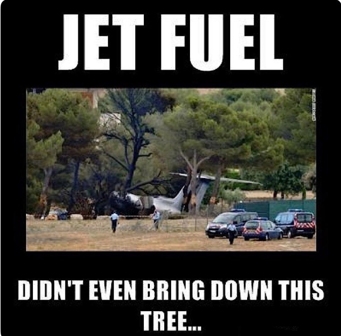 JackMedia7's tweet photo. They say that jet fuel burned for hours and weakened the metal beams of the World Trade Center, 110 stories, but this tree .... 

MORE 9/11 TRUTH AT THE WORLD'S CONNECTION TO UNSTOPPABLE TRUTH AT 17PLUS WORLDWIDE TRUTH NETWORK AT https://t.co/BeQa99PJ7p https://t.co/3lKKLW8y69