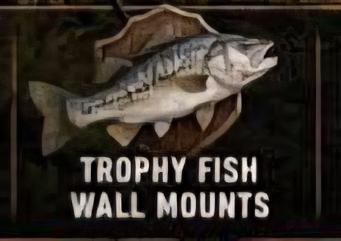 H4MILC4R's tweet photo. @ScumGame What we were promised! https://t.co/p8NVZqlBFC