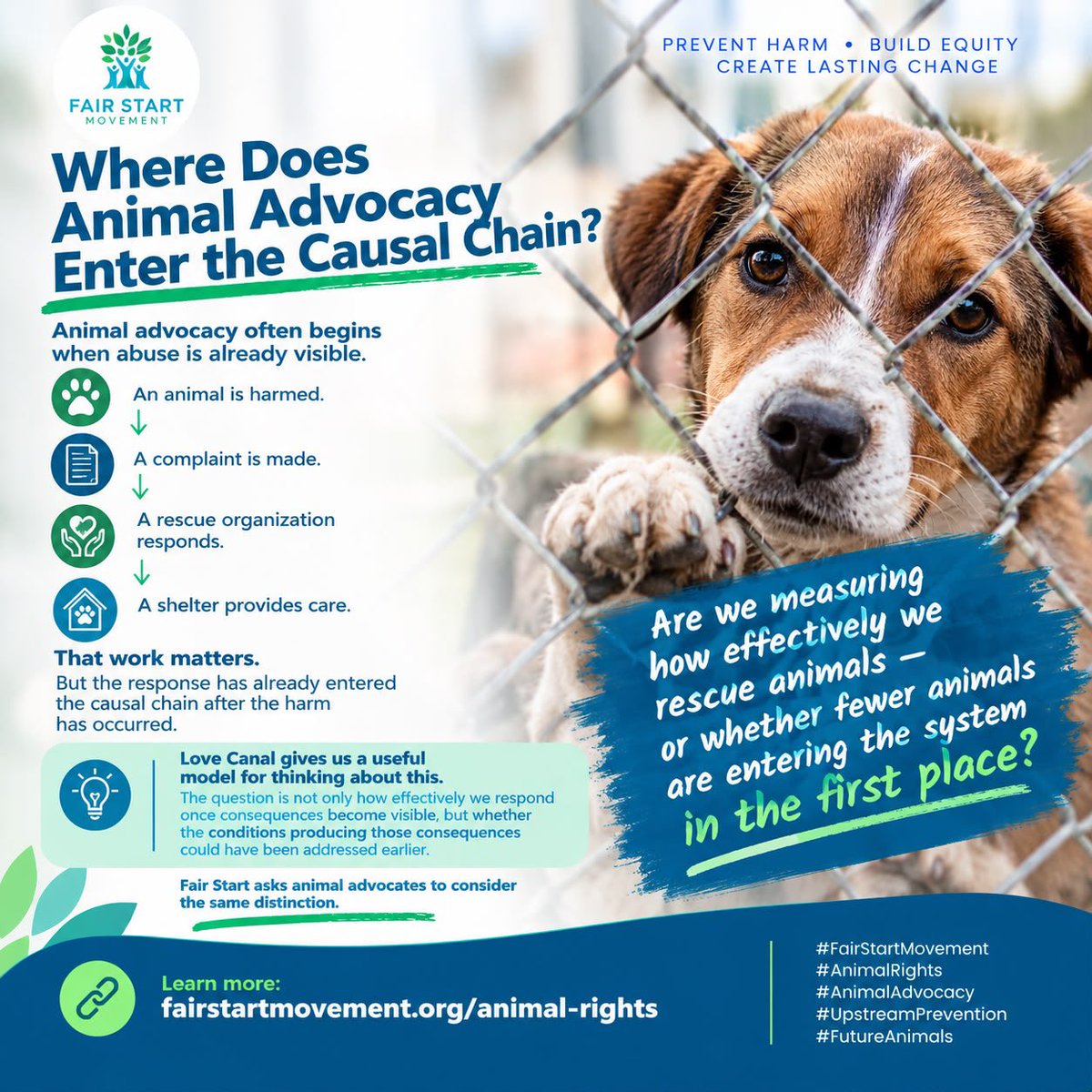 FairStartOrg's tweet photo. Animal advocacy often enters the causal chain after harm is already visible.

Can we move further upstream and reduce the conditions producing the need for rescue?

https://t.co/oIg7PIT4fH

#FairStart #AnimalRights https://t.co/mJBcOsUUZY