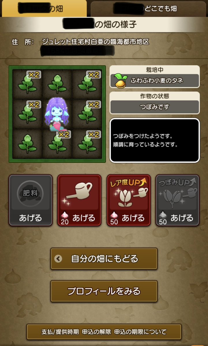 753_dqx's tweet photo. チームリーダーのとこの畑にツールから水やりしようと広告見て1回分無料の畑の水やり権を利用しようとしたら…
えー、無料水やりは自分の畑限定なの！？
…それなら「自分の畑の水やり権」って書いてよ〜😅
#DQX https://t.co/cRIFkpWc7m