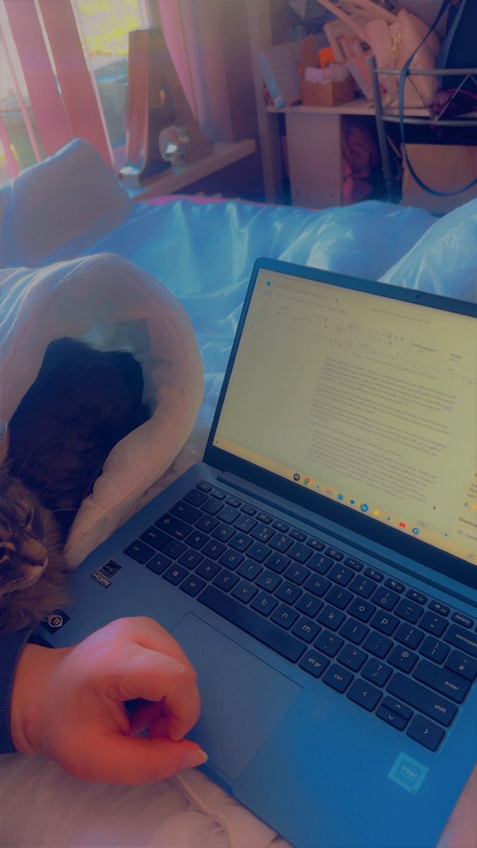 aimeelmccarthy's tweet photo. When the cat creates herself a little igloo next to you while you work 🐱😍🥹 https://t.co/s0Nt4Pjc3E