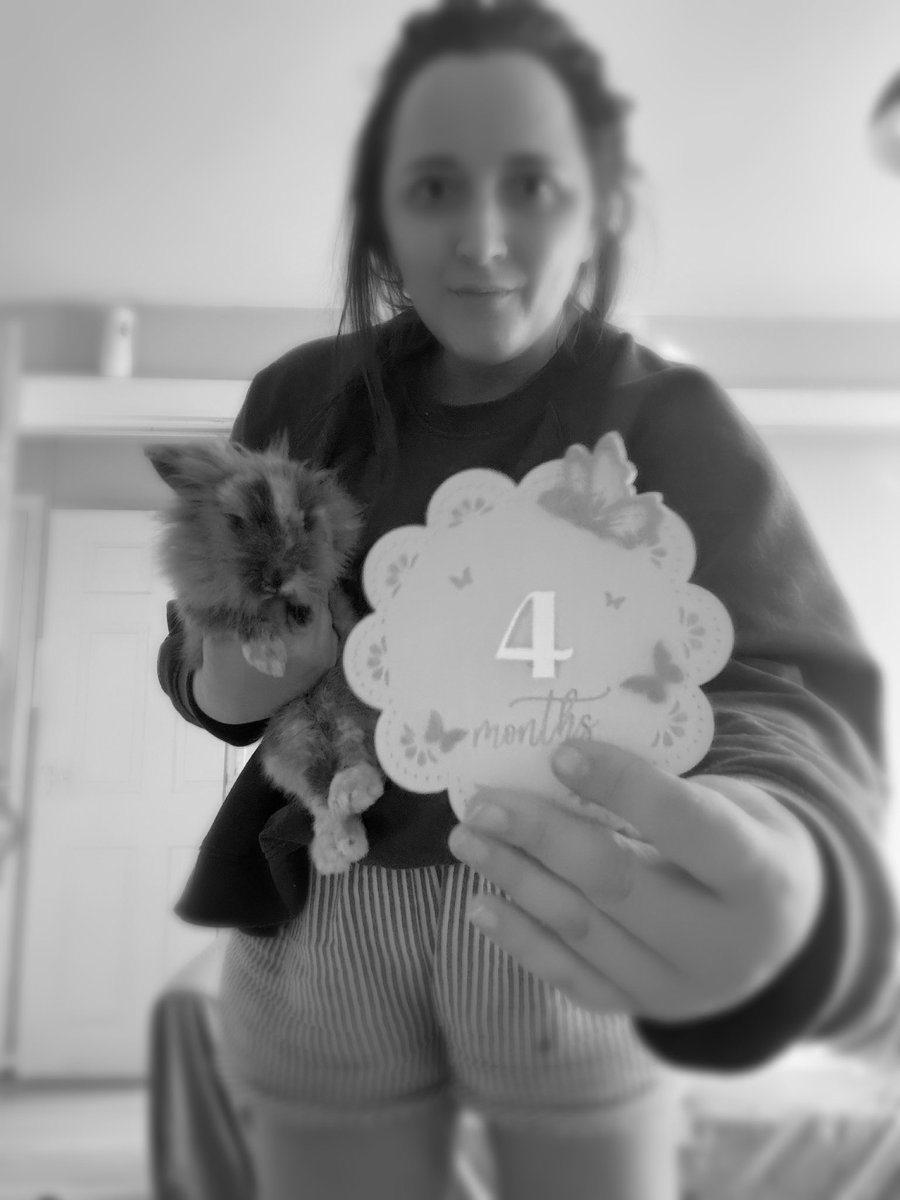 aimeelmccarthy's tweet photo. "I feel like a part of my soul has loved you since the beginning of everything. Maybe we're from the same star," 
- Emery Allen.

Happy Four Months to the newbie who feels like she’s been here forever! 🥳😍🥹🐰 https://t.co/lCotuhKDnJ