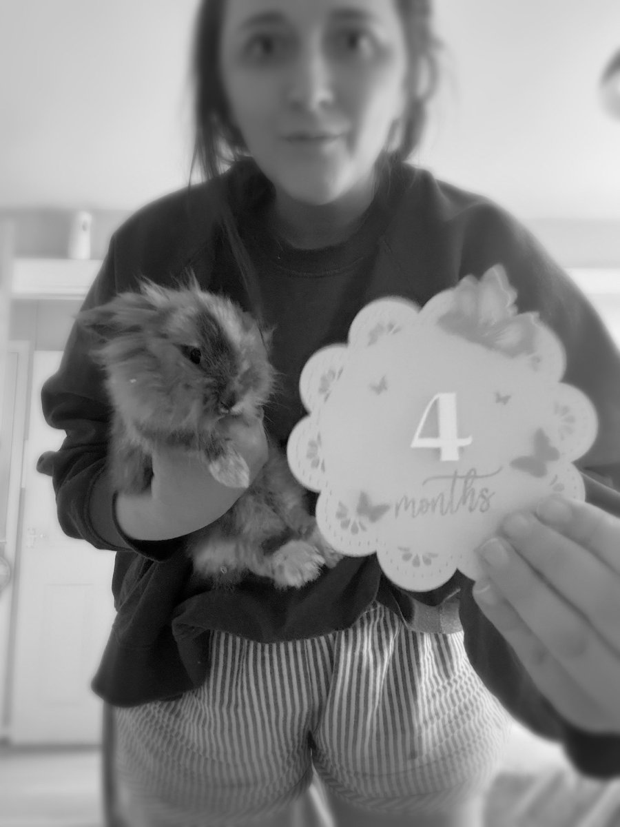 aimeelmccarthy's tweet photo. "I feel like a part of my soul has loved you since the beginning of everything. Maybe we're from the same star," 
- Emery Allen.

Happy Four Months to the newbie who feels like she’s been here forever! 🥳😍🥹🐰 https://t.co/lCotuhKDnJ