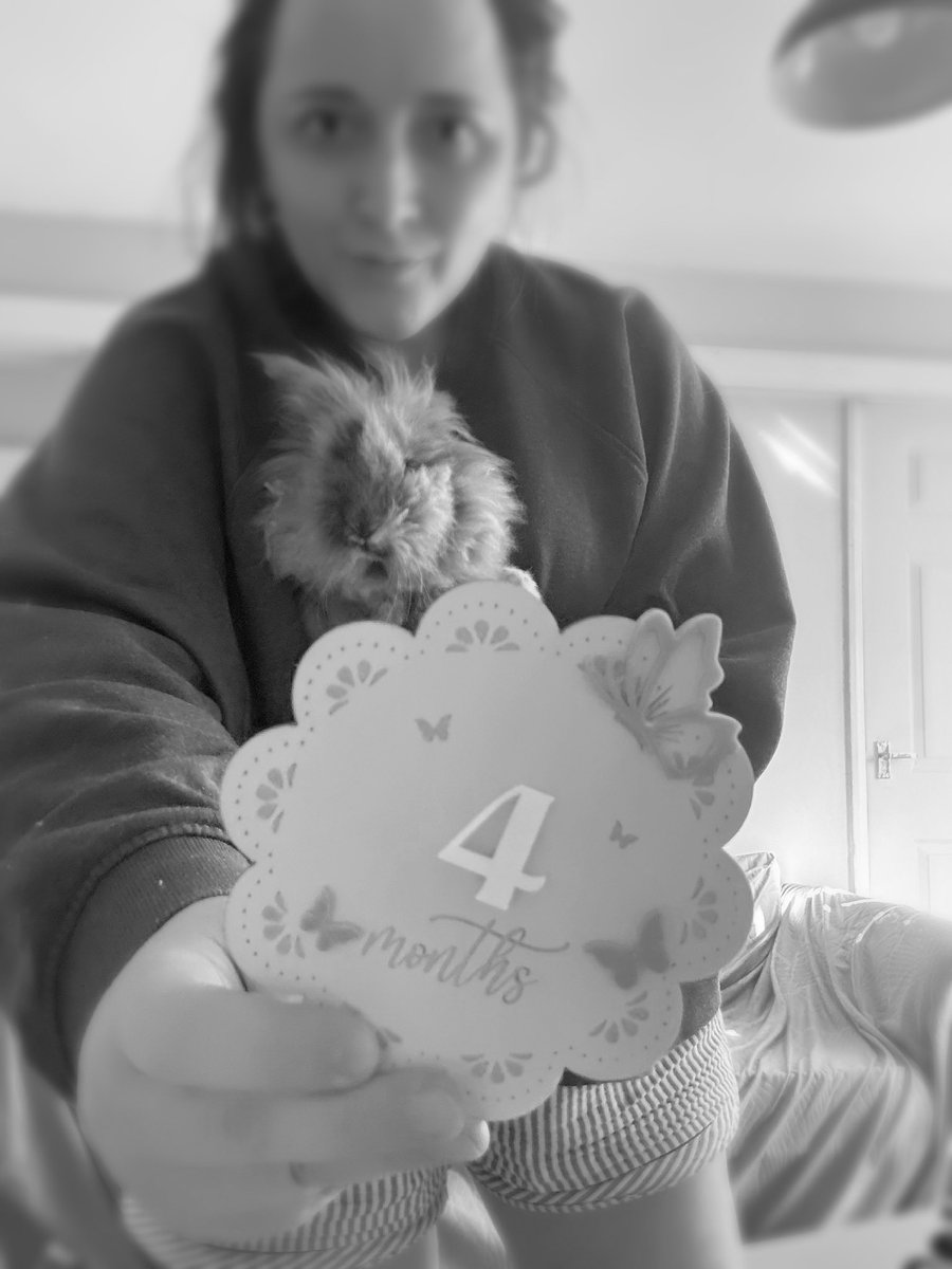 aimeelmccarthy's tweet photo. "I feel like a part of my soul has loved you since the beginning of everything. Maybe we're from the same star," 
- Emery Allen.

Happy Four Months to the newbie who feels like she’s been here forever! 🥳😍🥹🐰 https://t.co/lCotuhKDnJ