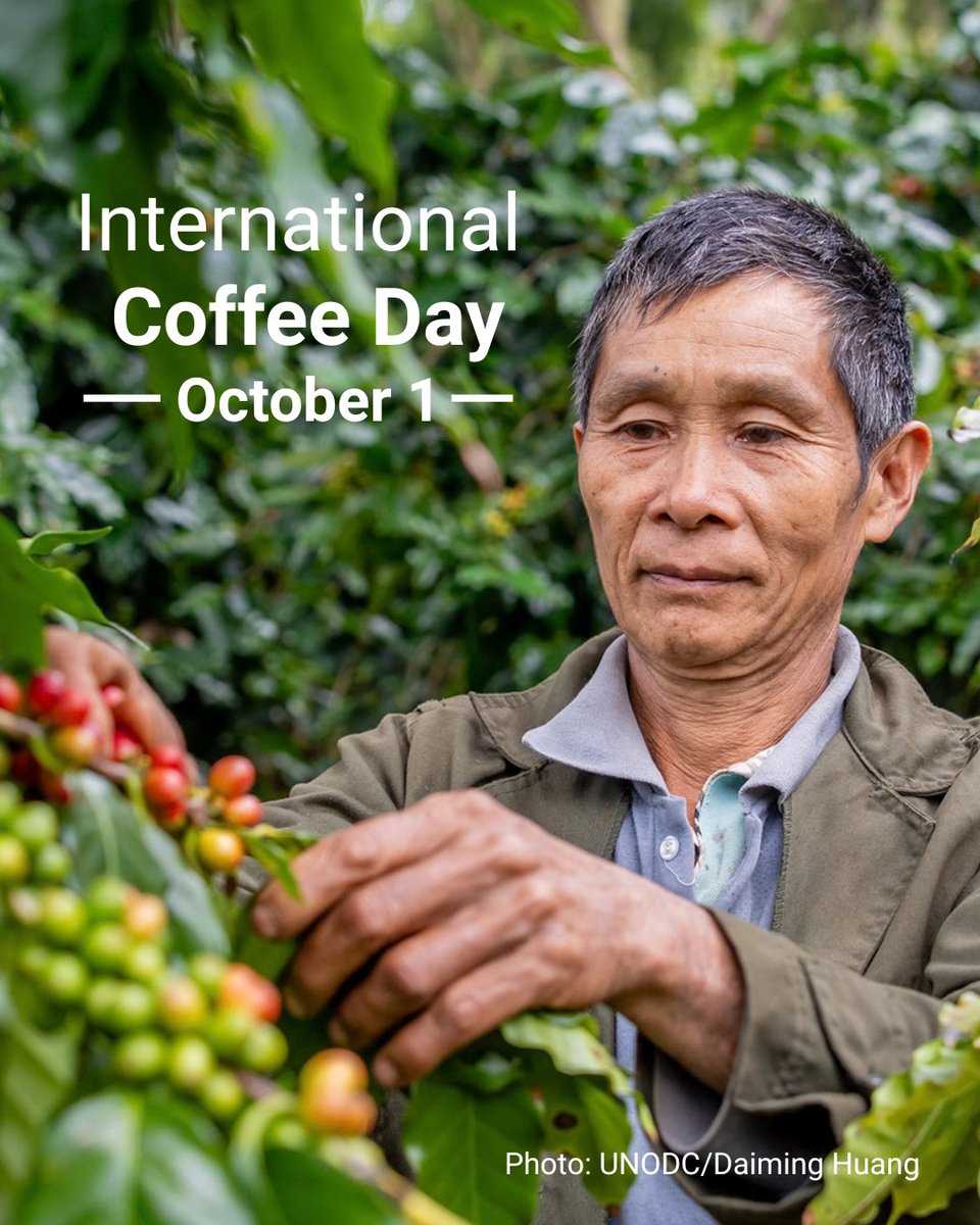 UN_Vienna's tweet photo. 1️⃣ Coffee is far more than just a pick-me-up. It also supports millions of families worldwide. For example in Laos, @UNODC helps local farmers to replace illegal opium poppy fields with sustainable coffee plants.
☕🌱 https://t.co/DyXMOg80ek