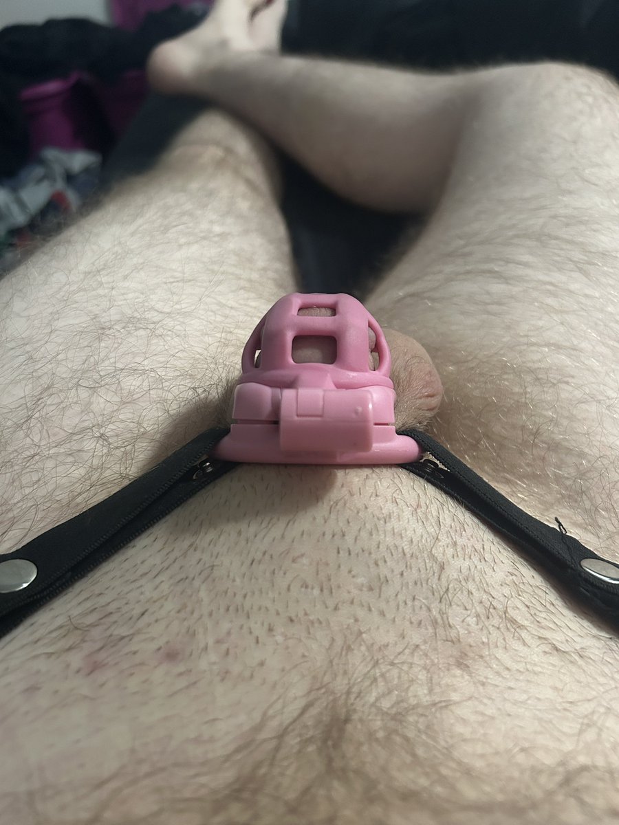 xjacksyn's tweet photo. …aaaaand so #locktober begins 🫪 mommy locked it up as soon as we woke up!

#chastity #femdom #femboy #sissy 
#sub https://t.co/cdukzZ3hnB