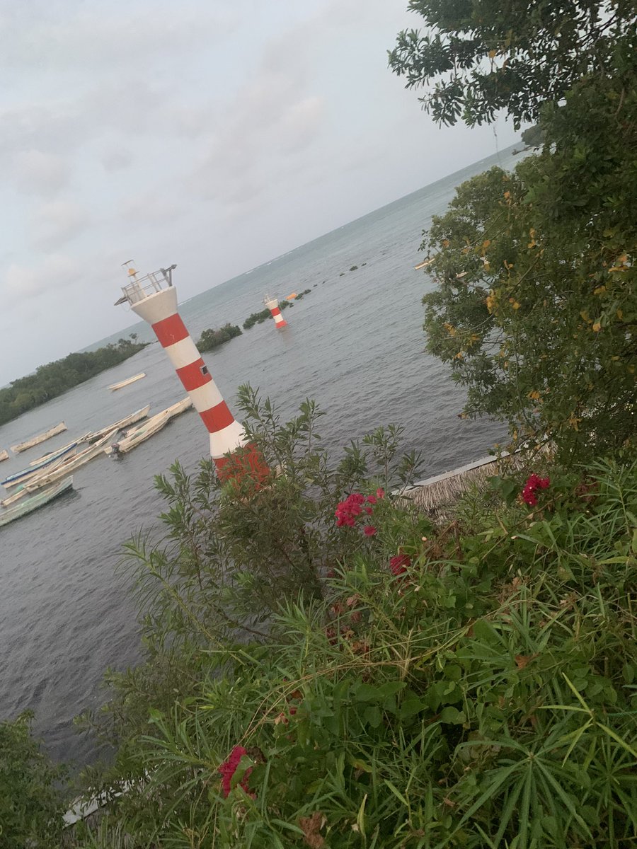 JJonaha's tweet photo. @Justtdavid_ Mombasa https://t.co/pUkNwjUwV4