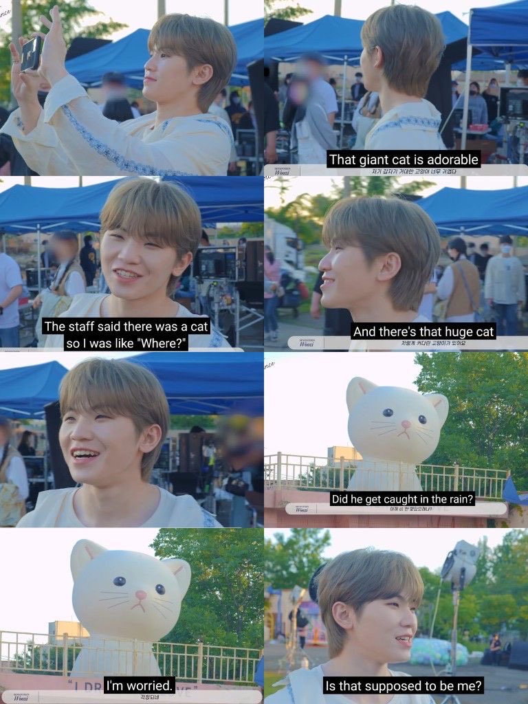 ketuabemm's tweet photo. welcome back, woozi cat rtl. https://t.co/FDWJgTMg1f