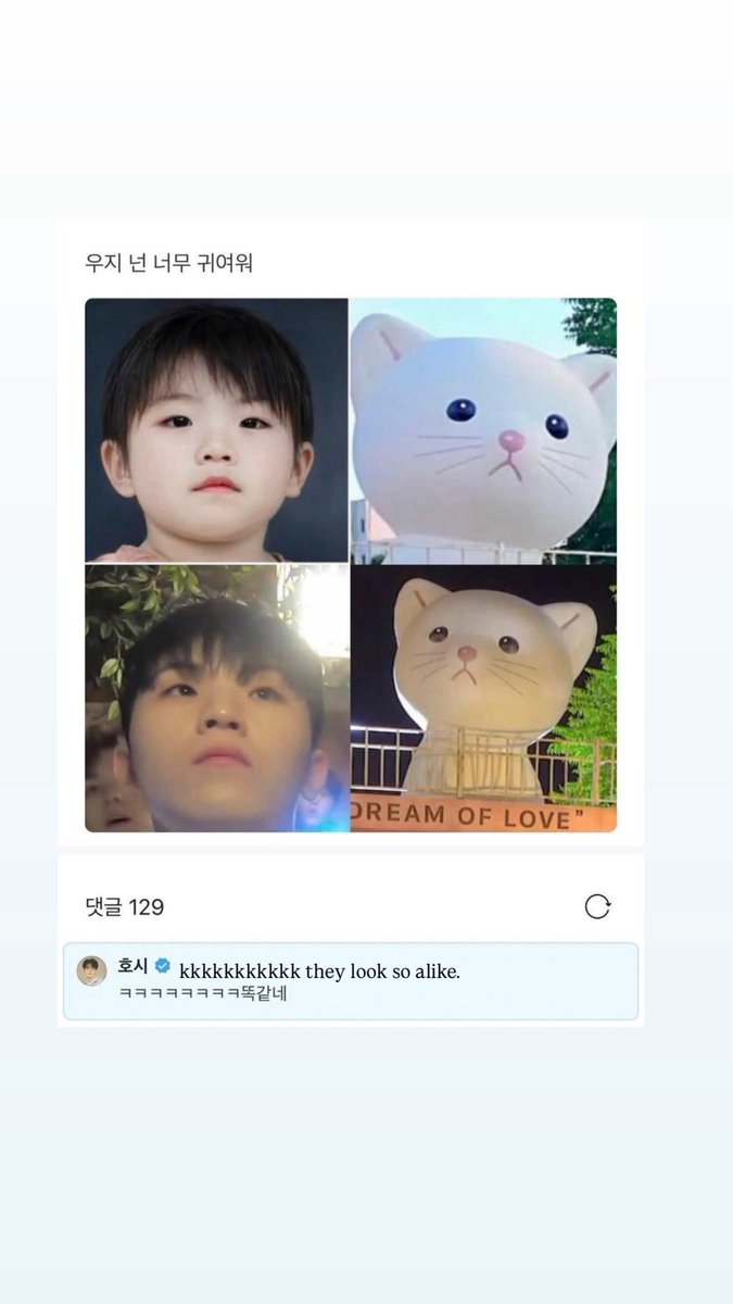 ketuabemm's tweet photo. welcome back, woozi cat rtl. https://t.co/FDWJgTMg1f