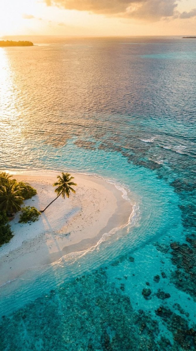 natureclassics5's tweet photo. Maldives 🤩 https://t.co/q9mhUdP8or
