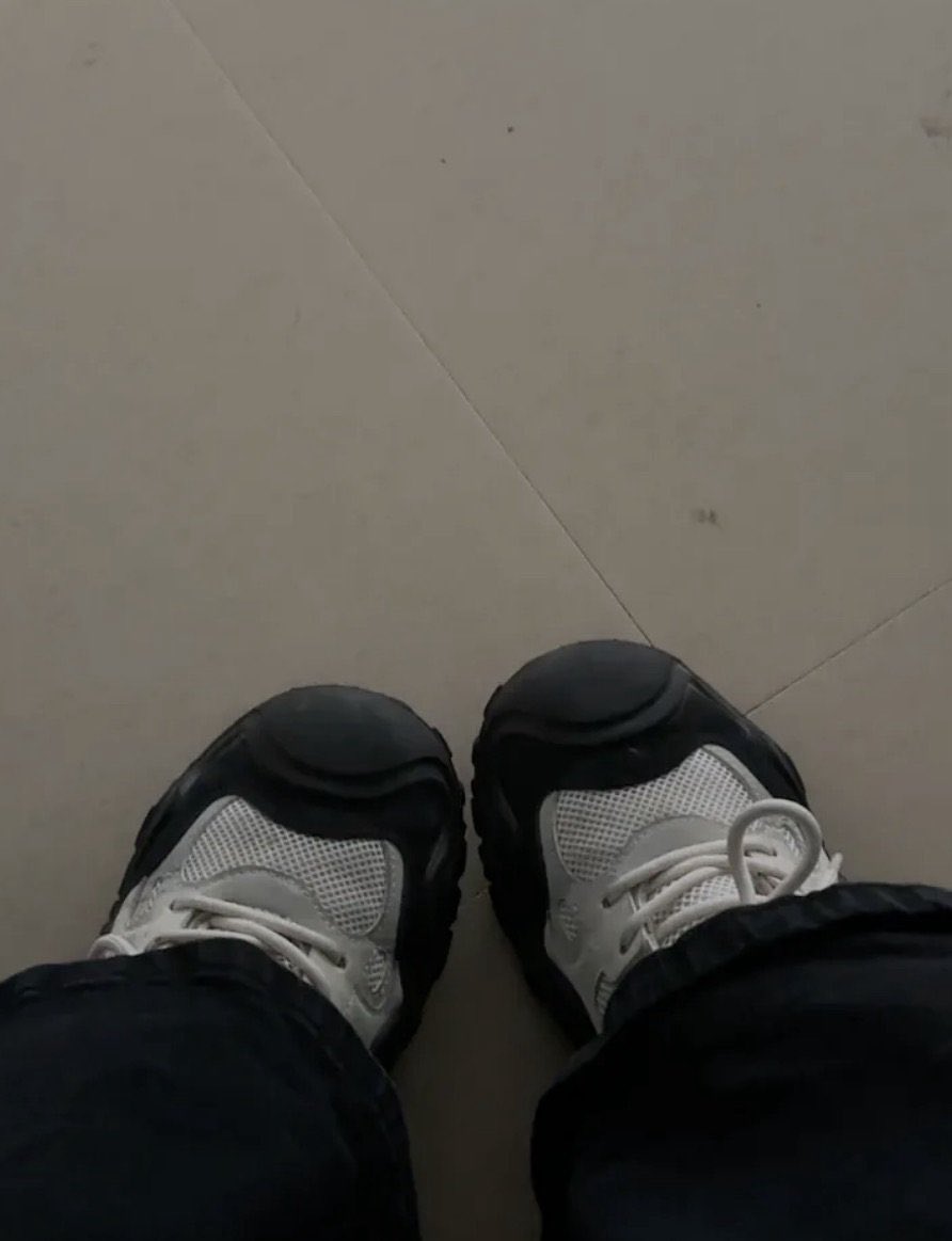 powb3i's tweet photo. i need dog to clean my shoes https://t.co/TZpFg9RHvg