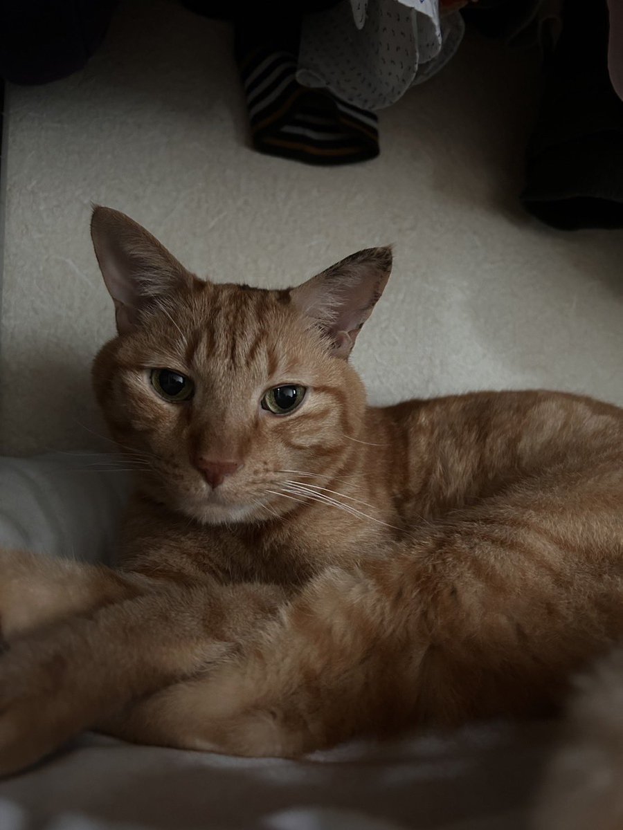 katsuyukidat's tweet photo. あっという間に木曜日が終わる。
そしてもう１０月。
週末は楽しみが待っています。
おやすみなさい https://t.co/TxvO0fanFr