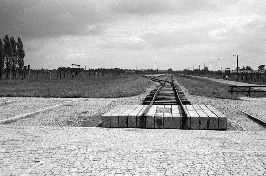 kreienbuehl's tweet photo. #shotonfilm #homedeveloped #filmphotography #analogphotography #filmisnotdead #buyfilmnotmegapixels #135film #35mm #monochrome #blackandwhite https://t.co/VN0bhlJUAf