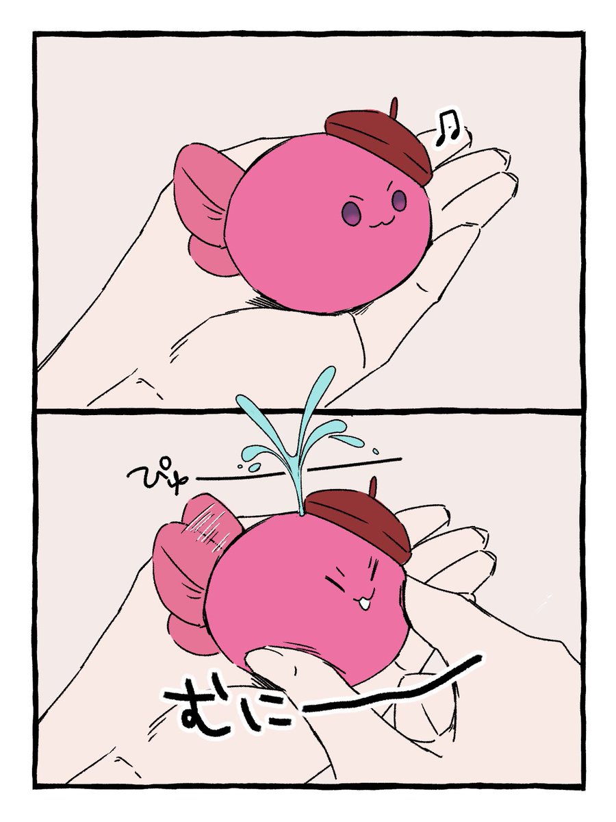 mmmuimuimui's tweet photo. ぎゅって握ると水が出るさかな丸、あまりにもかわいかった https://t.co/PDfQnubeoM